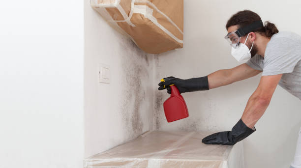 Professional Crawl Space Mold Remediation technician working in Du Bois, PA