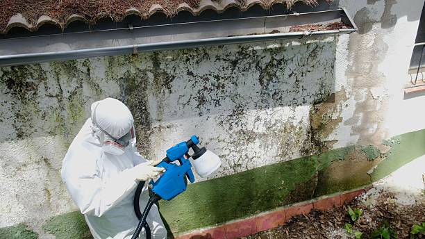 Top rated local Crawl Space Mold Remediation specialists in Du Bois, PA
